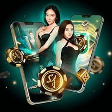 7lbet